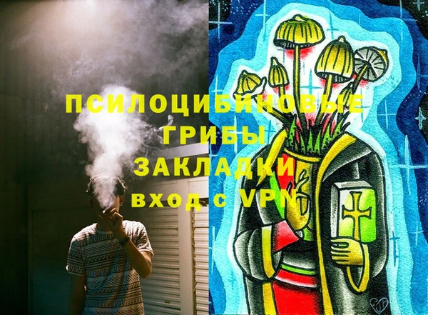 бошки Алзамай
