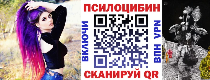omg tor магазин продажи наркотиков Томск мориарти официальный сайт Псилоцибиновые грибы Magic Shrooms