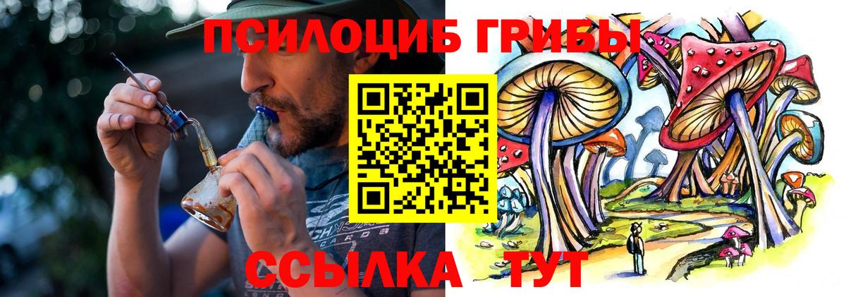 Галлюциногенные грибы MAGIC MUSHROOMS  Вход с VPN  Томск 